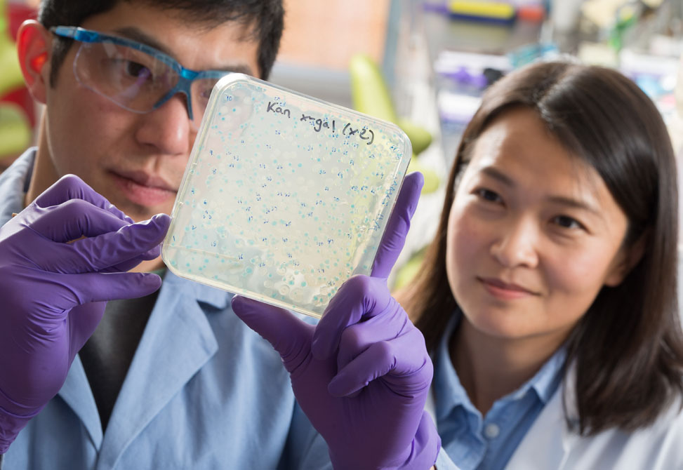 Chemistry graduate student Andrew Chan, with Bo Li