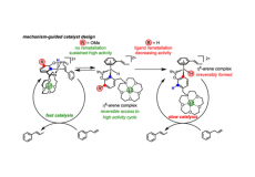 Identifying and Evading Olefin Isomerization Catalyst Deactivation Pathways Resulting from Ion-Tunable Hemilability