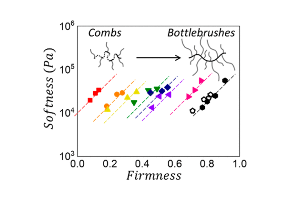 Independently Tuning Elastomer Softness and Firmness by Incorporating