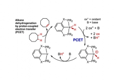 Catalytic Dehydrogenation of Alkanes by PCP-Pincer Iridium Complexes Using Proton and Electron Acceptors