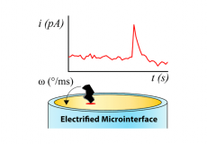 Revealing Dynamic Rotation of Single Graphene Nanoplatelets on Electrified Microinterfaces