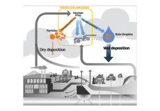 Atmospheric Deposition and Annual Flux of Legacy Perfluoroalkyl Substances and Replacement Perfluoroalkyl Ether Carboxylic Acids in Wilmington, NC, USA