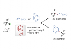 Aliphatic C-H Functionalization Using Pyridine N-Oxides as H-Atom Abstraction Agents