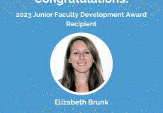 Brunk Junior Faculty Development Award