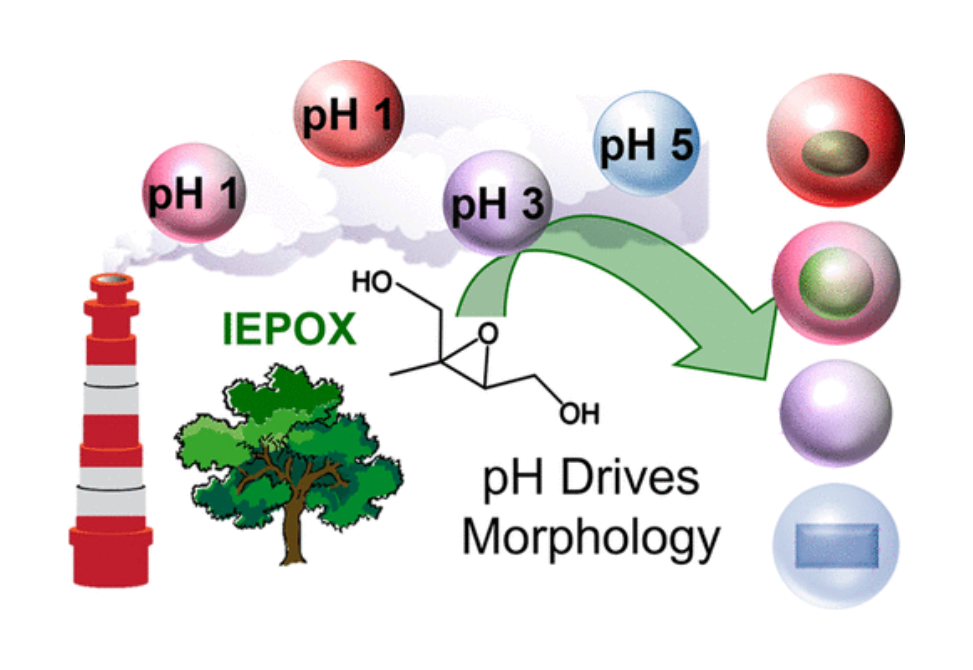 Initial pH Governs Secondary Organic Aerosol Phase State and Morphology ...