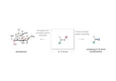 Development of New Reactions Driven by N–O Bond Cleavage