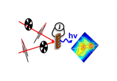 Uncovering Transport Mechanisms in Perovskite Materials and Devices with Recombination-Induced Action Spectroscopies