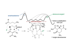Catalytic, Asymmetric Michael-Aldol Annulations via a Stereodivergent