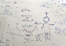 Image of a dry erase board that is covered in chemical equations and molecule diagrams. Remnants of previous images can be seen as faded or partly erased.