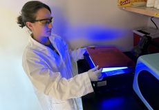 Image Ackall Yasmine Lab